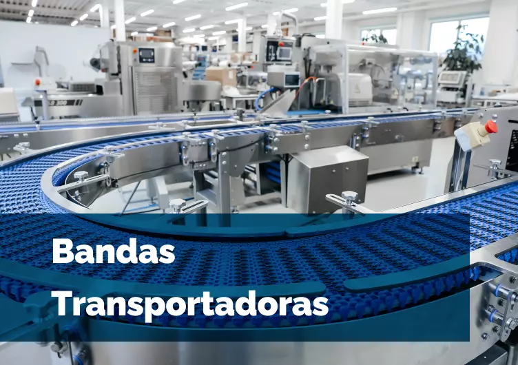 Bandas transportadoras, Productos